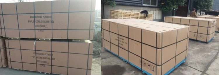 CP Cdbd PACKING 221209