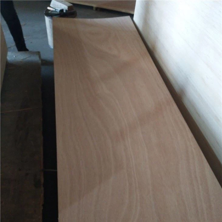 Papan Lapis Kulit Pintu Okoume