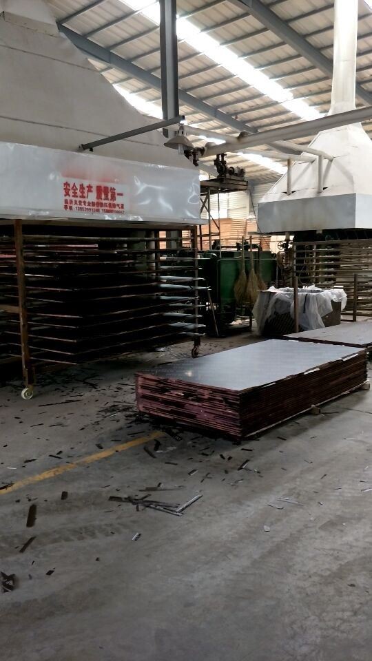 18mm Film Faced Plywood Supplier