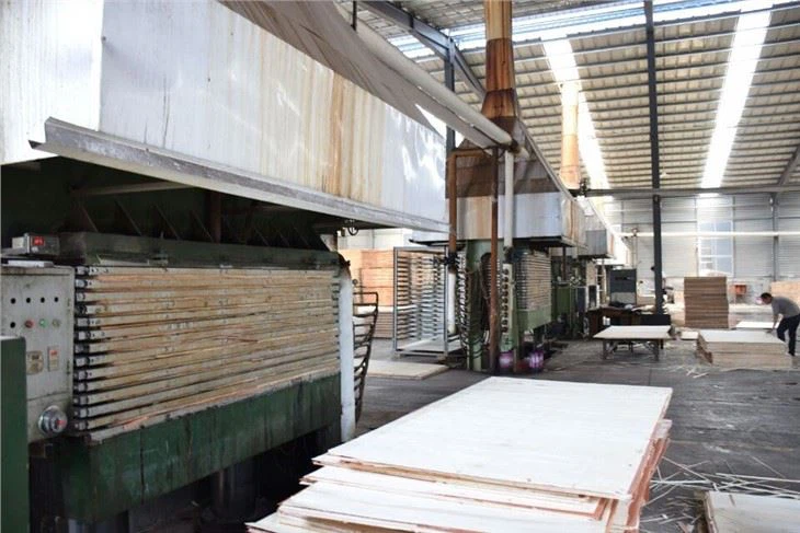 18mm Film Faced Plywood Supplier