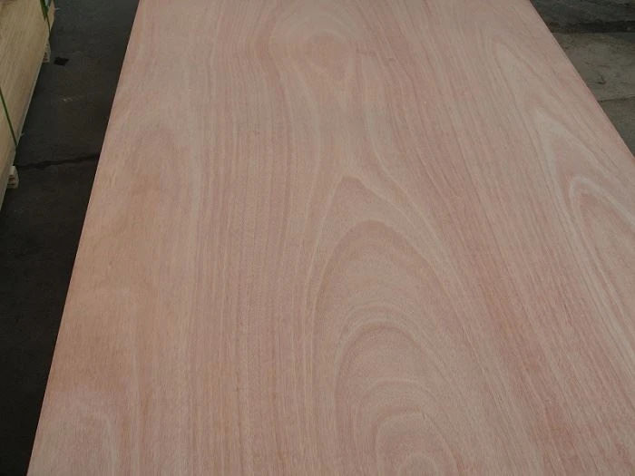4'x8'x18mm Papan Lapis Okoume BB/CC