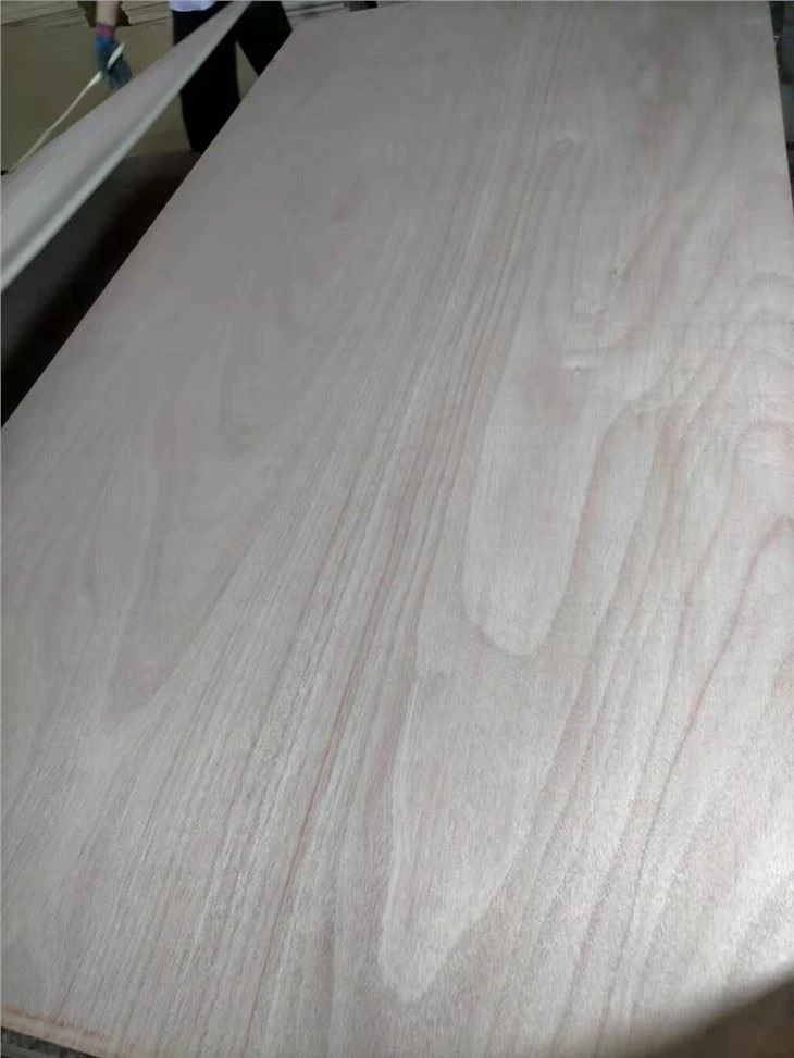 4'x8'x18mm Okoume BB/CC Plywood