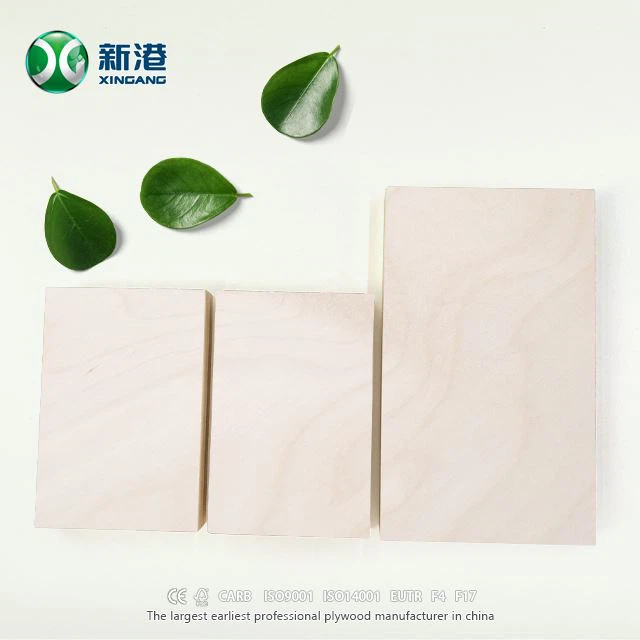 Best Full Birch Plywood XINGANG Brand