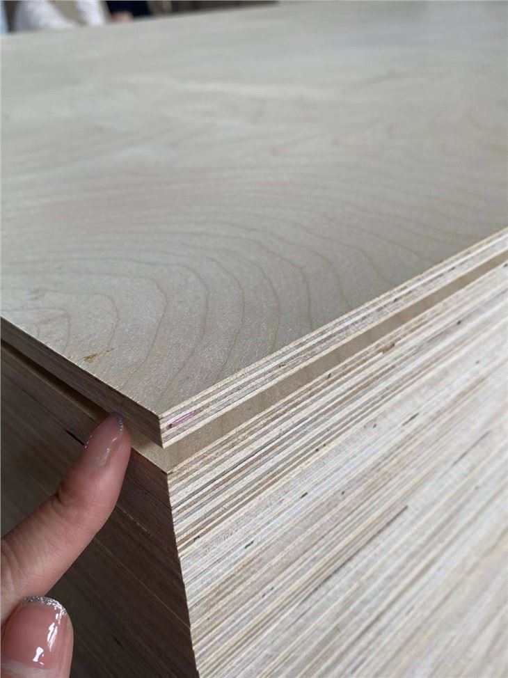 Papan Lapis Bintangor Binaan Poplar Semua Saiz Dan Ketebalan Papan Lapis Jati