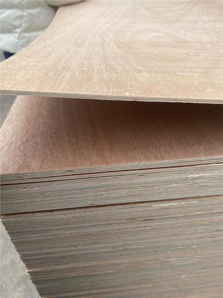 Bintangor Plywood Construction Poplar All Size And Thickness Teak Plywoods