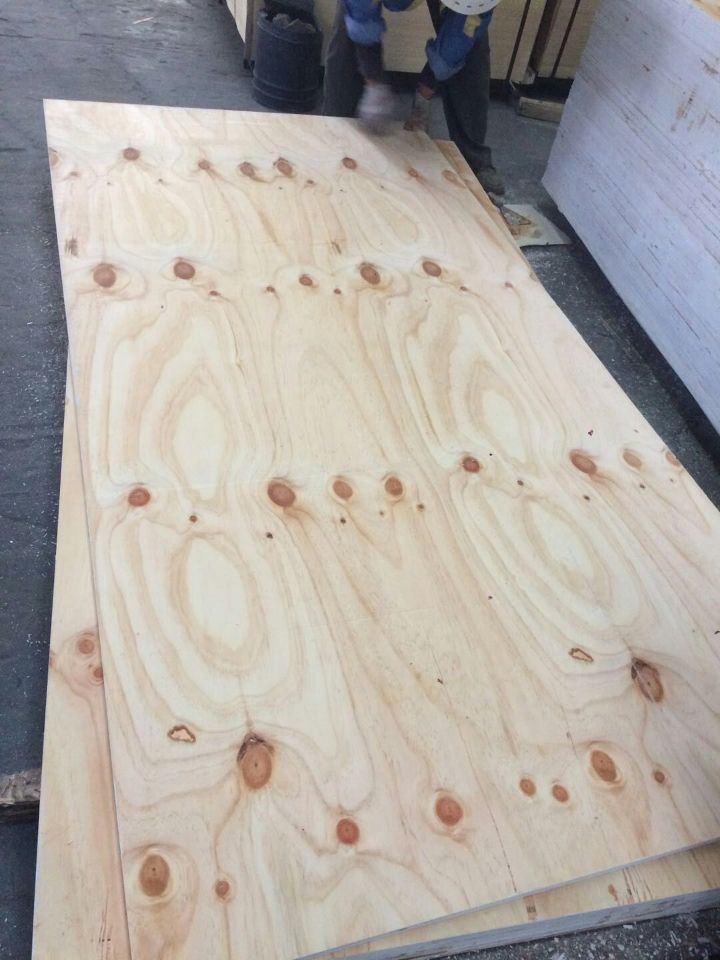 Papan Pinus CDX