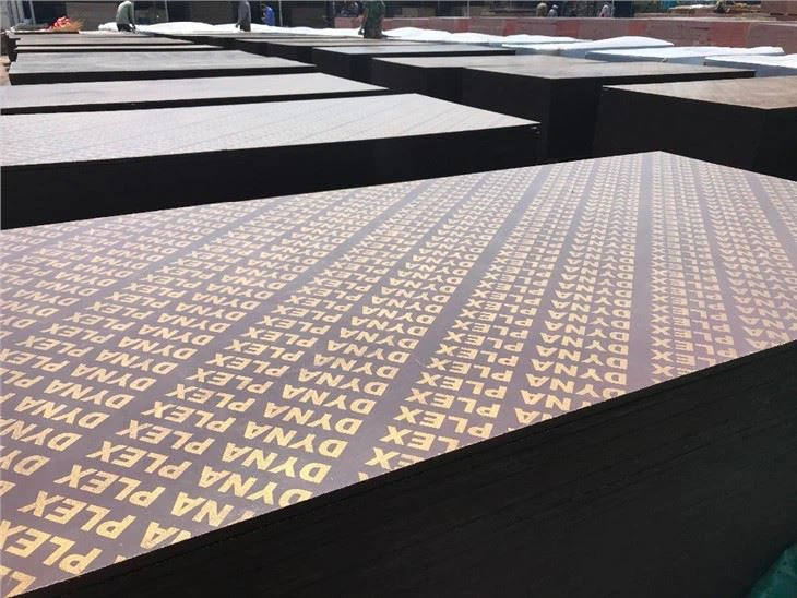 Pembinaan papan lapis bangunan papan lapis ditutup papan lapis