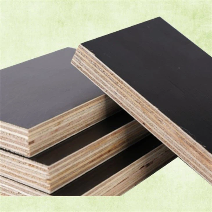 Filem Poplar Penuh Berhadapan Papan Lapis Kilang China