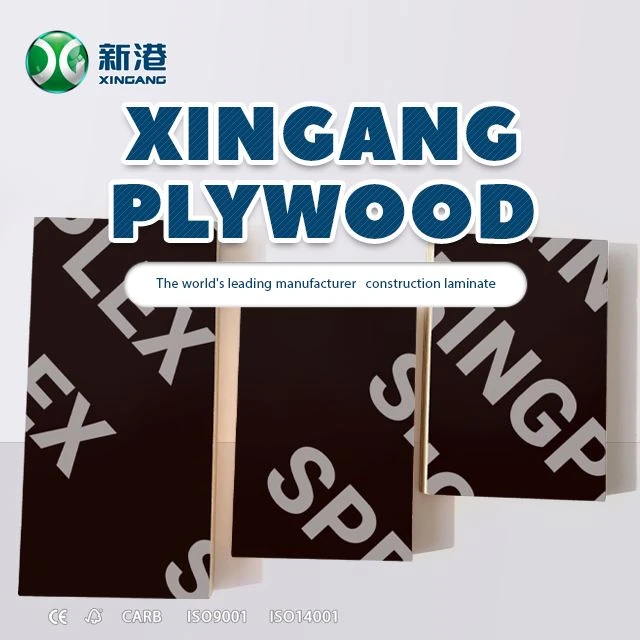 Poplar Combi Laminated Black Brown Film Faced Plywood Xingang Brand Factory Price