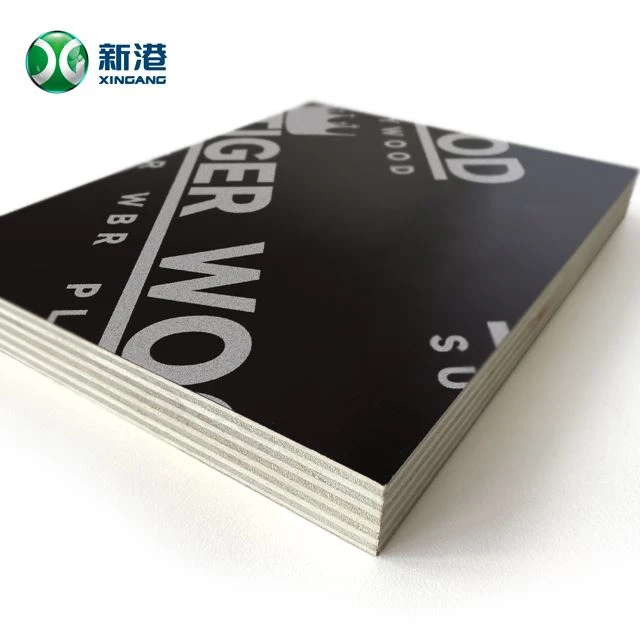 Reusable Plywood Marine Board African Market 1220x2440x18mm