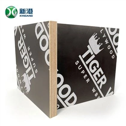 Papan Lapis Berhadapan Filem Birch Rusia 18mm