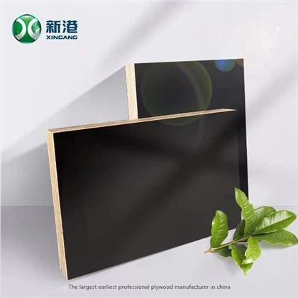 Papan Lapis Marin 18mm Berkualiti Tinggi