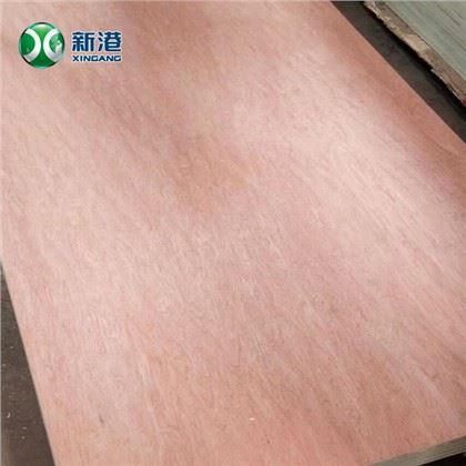 Papan Lapis Komersial BB/CC Gred 18mm Bintangor Untuk Perabot