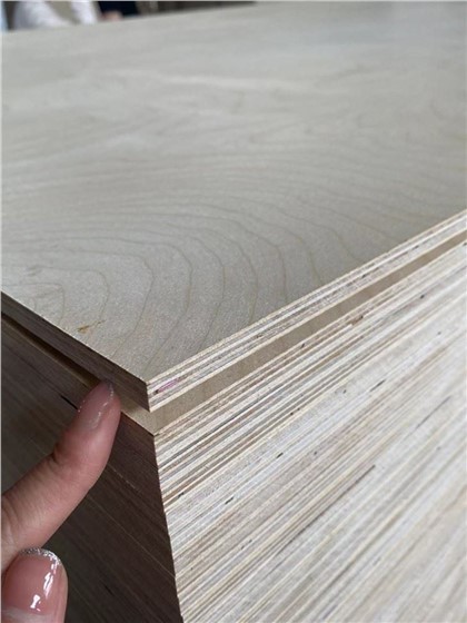 Papan Lapis Bintangor Binaan Poplar Semua Saiz Dan Ketebalan Papan Lapis Jati