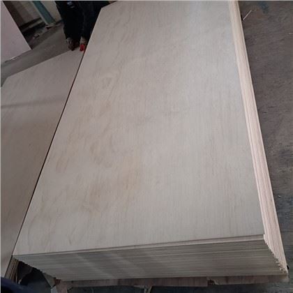 Gred Perabot Gam Kalis Air Kayu Lapis Birch