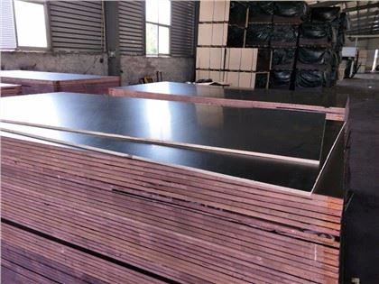Papan Lapis Berhadapan Filem Licin GAM WBP