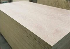 Papan Lapis Birch Penuh 16mm
