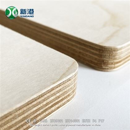 12mm 15mm 18mm Papan Lapis Birch Kualiti Baik