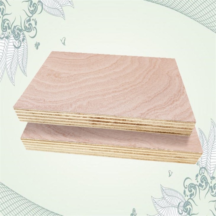 Best Cost Effective Bintangor Face Commercial Plywood Sheet