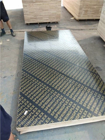 18mm Conrecte Plywood- Pembekal Cina