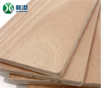 Papan lapis 19mm 8x4