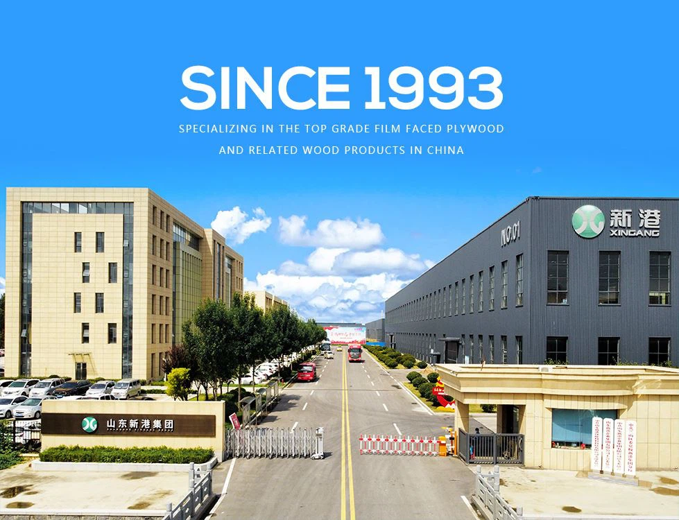 Shandong  Xingang  Kumpulan