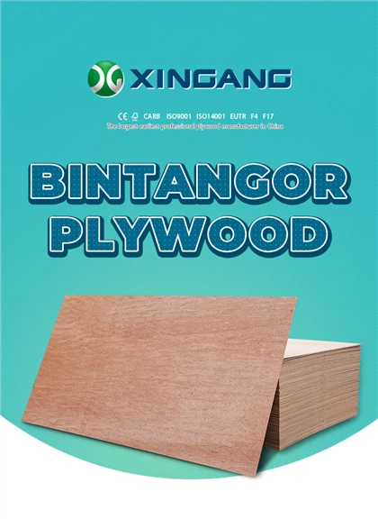 Papan Lapis Muka Bintangor