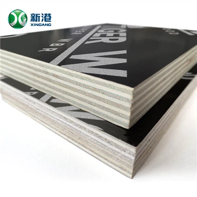 Filem Harga Berkualiti Berkualiti Tinggi Menghadapi papan lapis